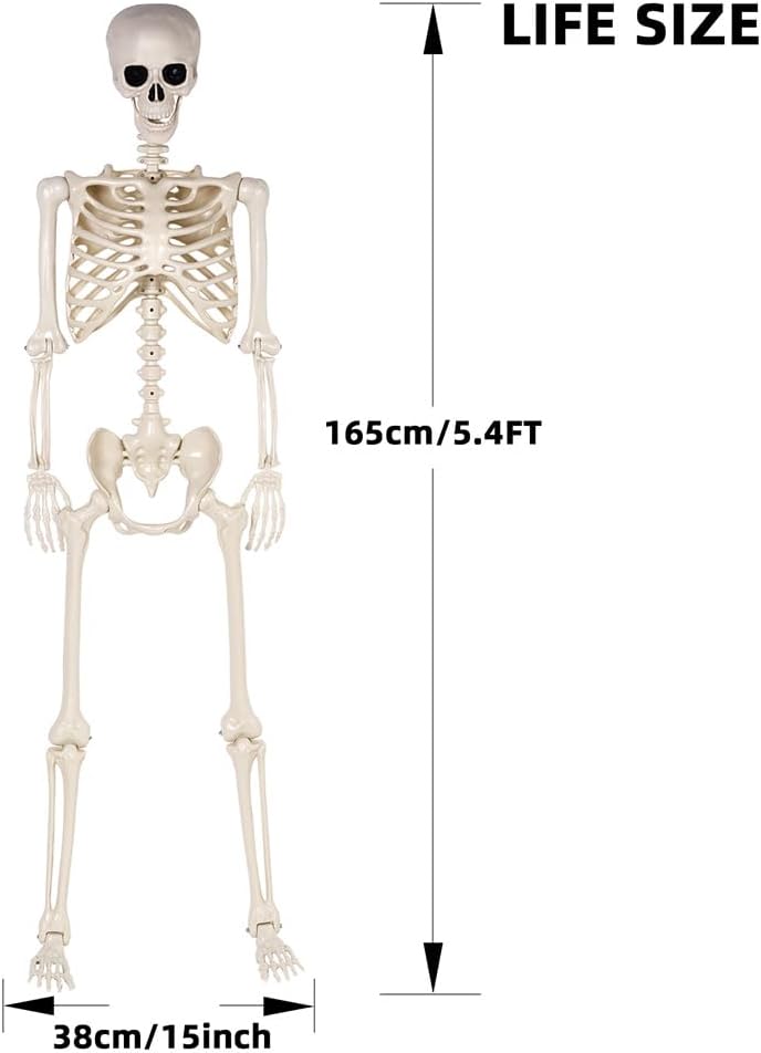 Halloween Skeletons Decorations - 5.4FT Life Size Posable Skeletons, Realistic Plastic Full Body Skeletons for Halloween Party Outdoor Haunted House Graveyard Decor