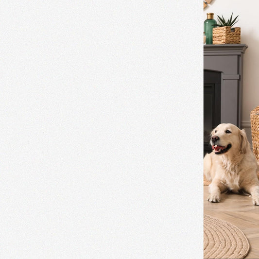 HIDBEA Frosted Window Privacy Film - Non Adhesive Static Cling Glass Stickers Sun UV Blocking Heat Control Door Covering Decals for Home Office(35.4 x 393.7 Inch, Frosted White)