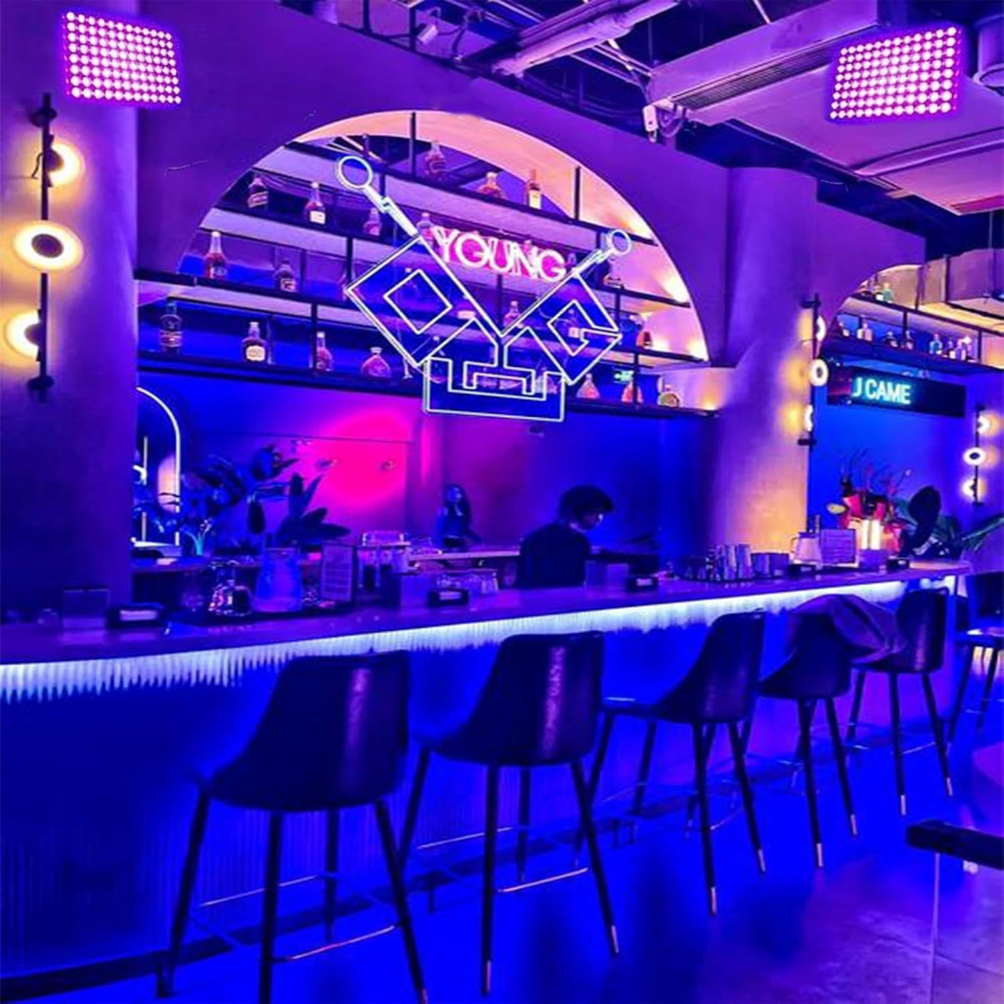 2 Pack 50W Black Lights, Blacklight Flood Light with Plug and Switch,for Glow Party, Halloween, Fluorescent Poster, Body Paint