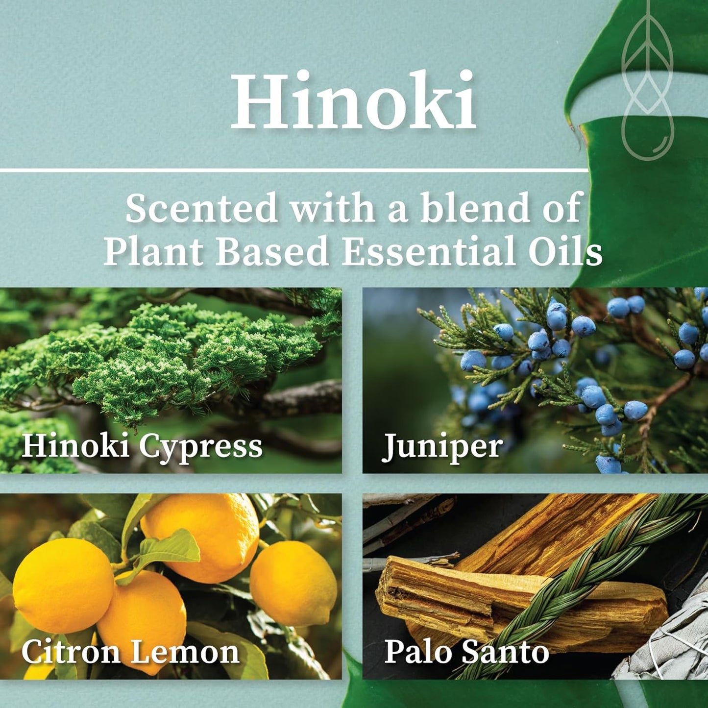 Hemlock Park Wood Wick Candle Handcrafted with Natural Coconut Wax and Essential Oils (Amber & Gold 7.2 oz, Hinoki)